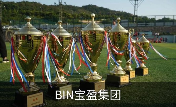 BIN宝盈集团介绍