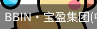 BIN宝盈集团